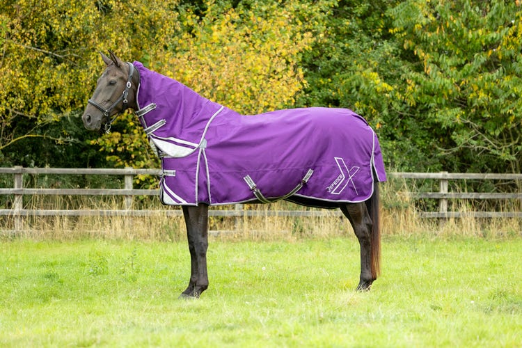 DefenceX Shield 100g Turnout Rug with Detachable Neck image 1